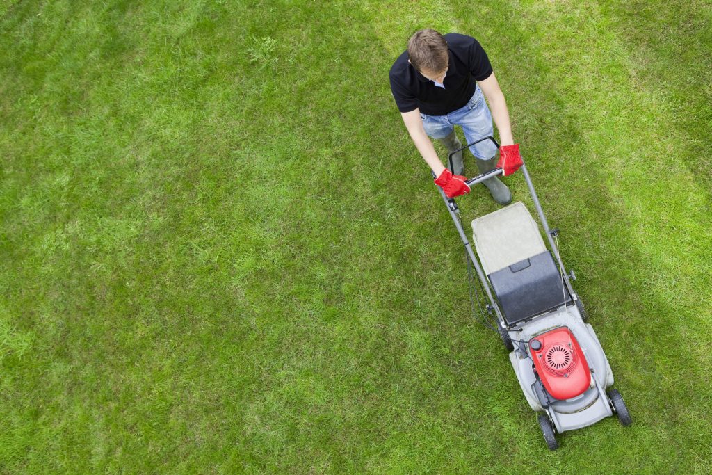 Aerial view of man on green lawn with push mower